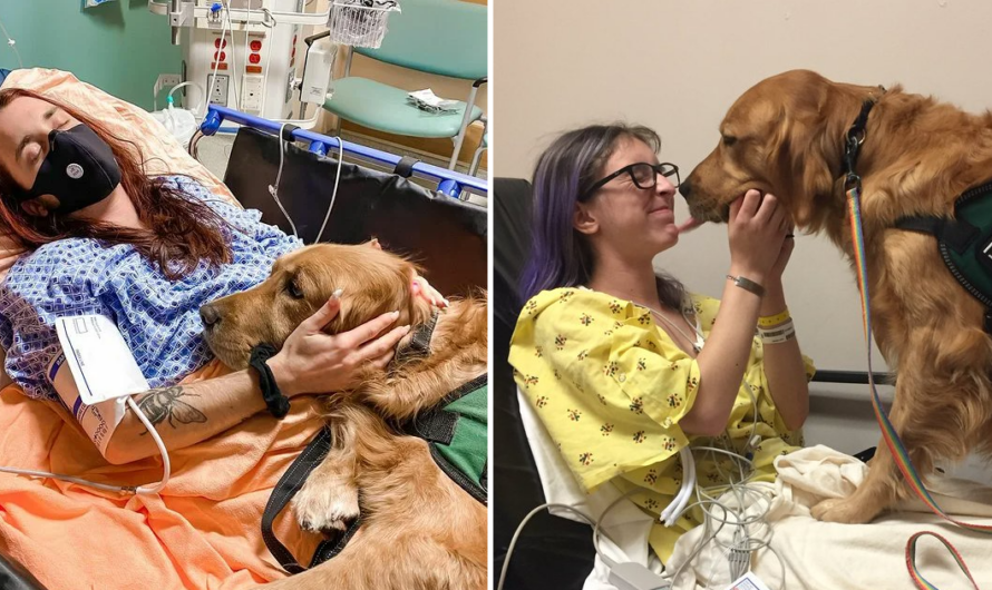 A dog’s enduring devotion helped a human family overcome illness as they banded together to care for their beloved pet.