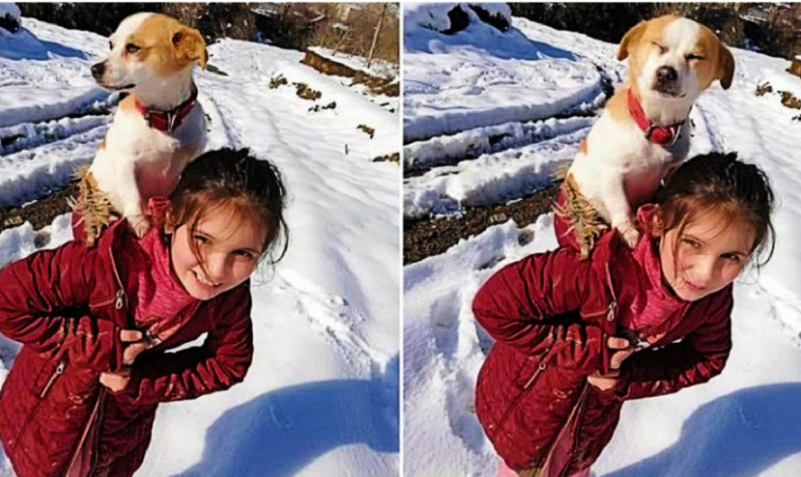 Little Girl Trudges Through Heavy Snow To Get Help For Her Sick Dog