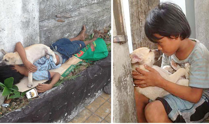 A Touching Story! After Being Abandoned By His Parents, The Boy Found Love In The Dog’s Arms