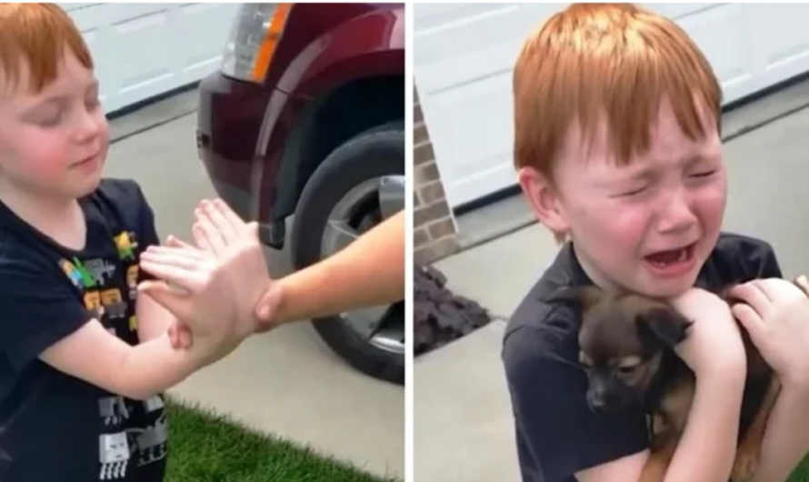 Boy Was Saving Up To Buy Puppy, Grandma Asks Him To Close His Eyes & Stretch His Arms