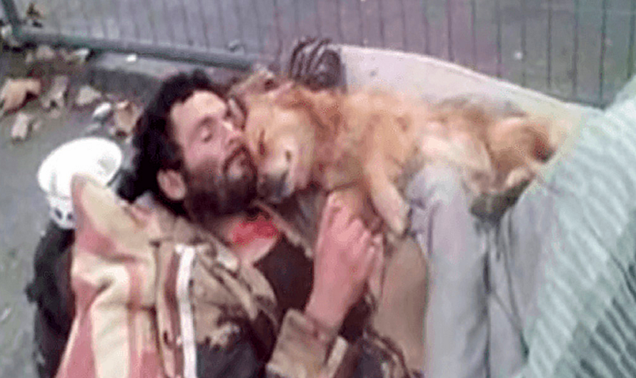 This Homeless Man Sleeps With His Dog In His Arms, A Four Paws Angel Who Never Lets Him Down