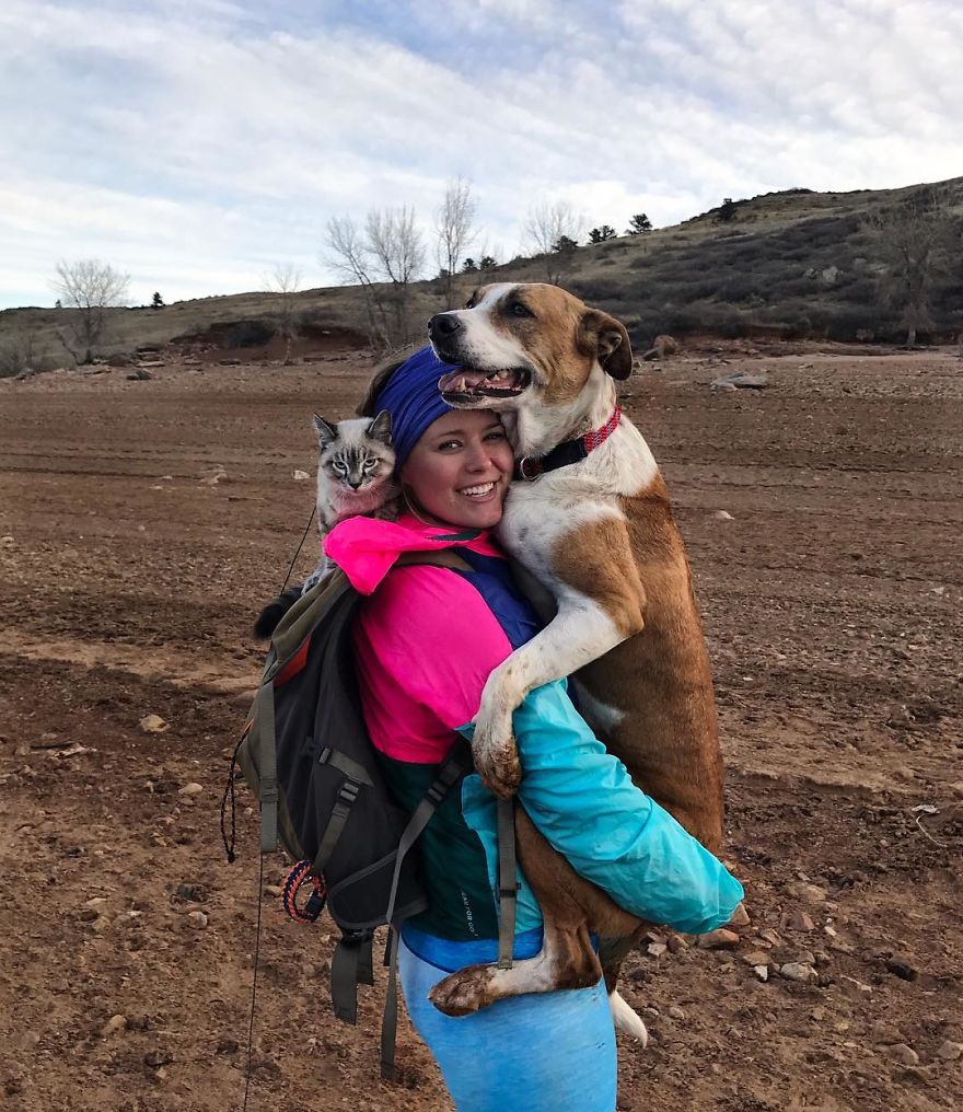 This Cat And Dog Love Travelling Together, And Their Pictures Are Absolutely Epic