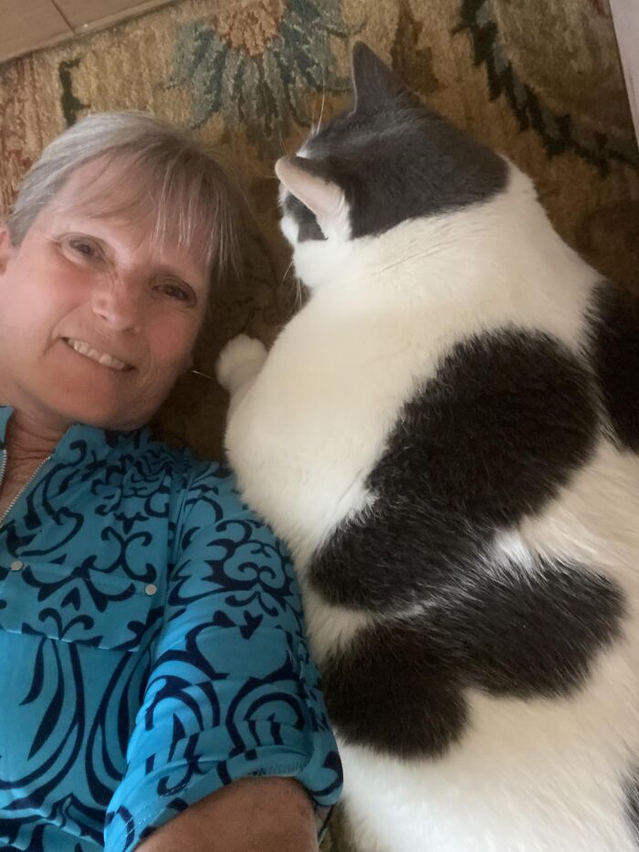 The Journey Of Patches, A 40-Pound Cat, Begins Anew After He Gets Adopted And Is Put On A Special Diet