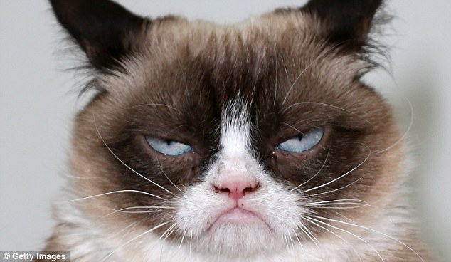 Crabby observations: Grumpy Cat's new book contains remarks such as 'absence makes the heart grow fonder - of your absence'