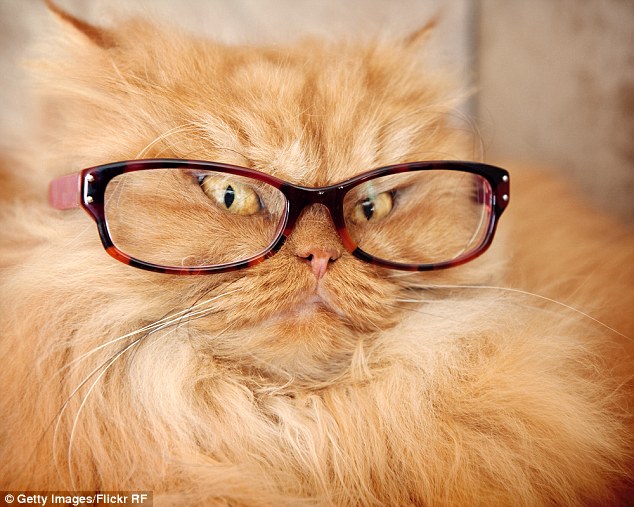 Seeing through a new lens: Garfi looks especially serious as he sports a pair of glasses