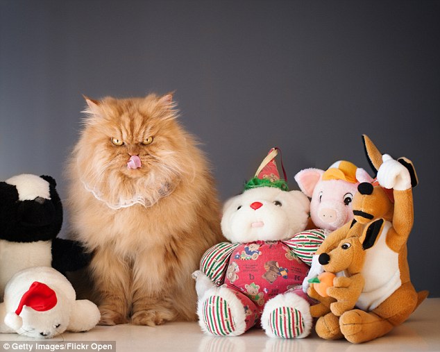 Making new friends: Garfi poses for a photo alongside a group of stuffed animals