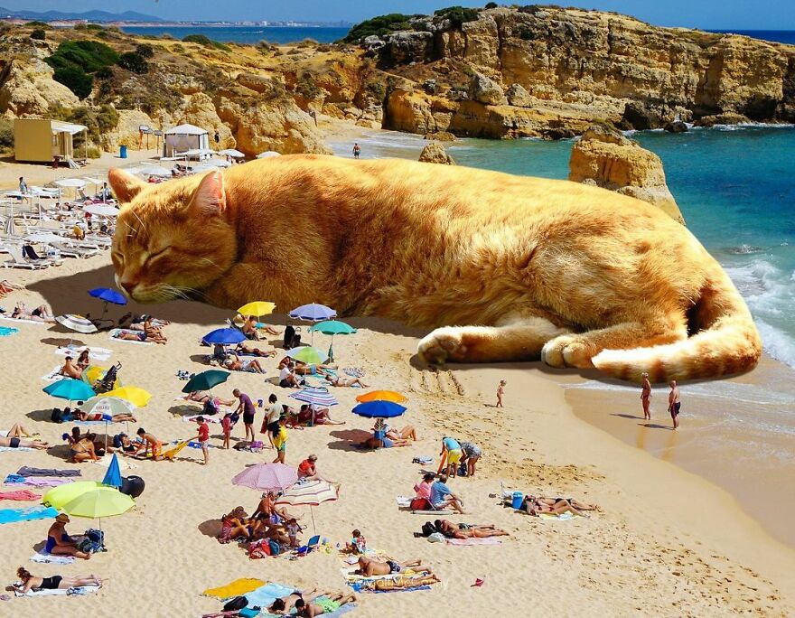 Artist Shows What It Would Be Like If The World Were Inhabited By Giant Cats (92 New Pics)