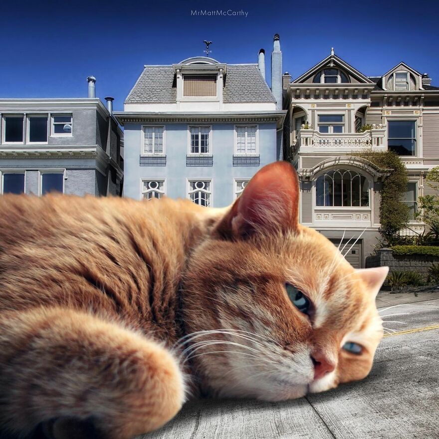 Artist Shows What It Would Be Like If The World Were Inhabited By Giant Cats (92 New Pics)