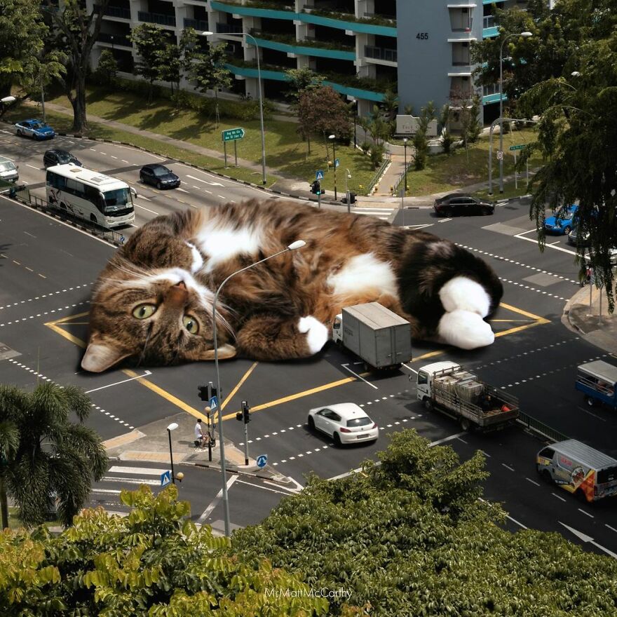 Artist Shows What It Would Be Like If The World Were Inhabited By Giant Cats (92 New Pics)