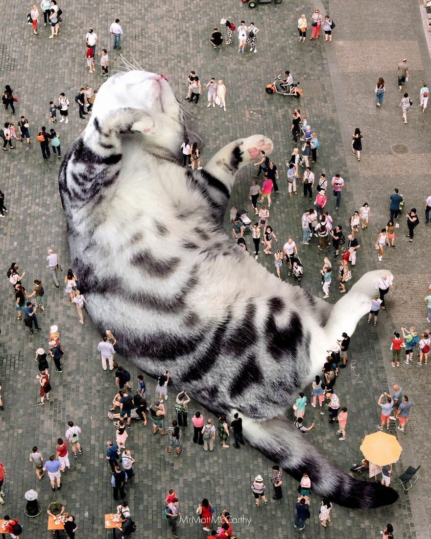 Artist Shows What It Would Be Like If The World Were Inhabited By Giant Cats (92 New Pics)