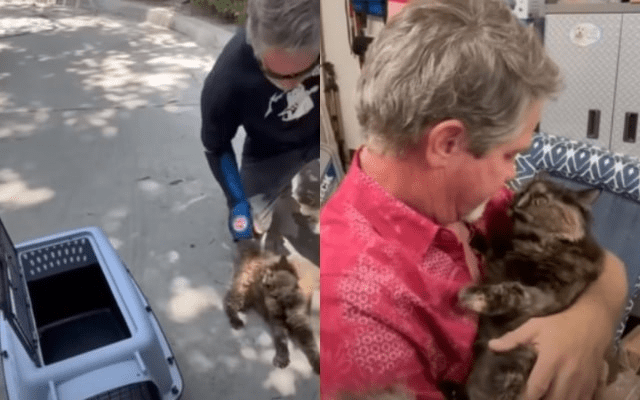 Kind Man Rescues Sick Stray Kitten Just Outside Of A Starbucks