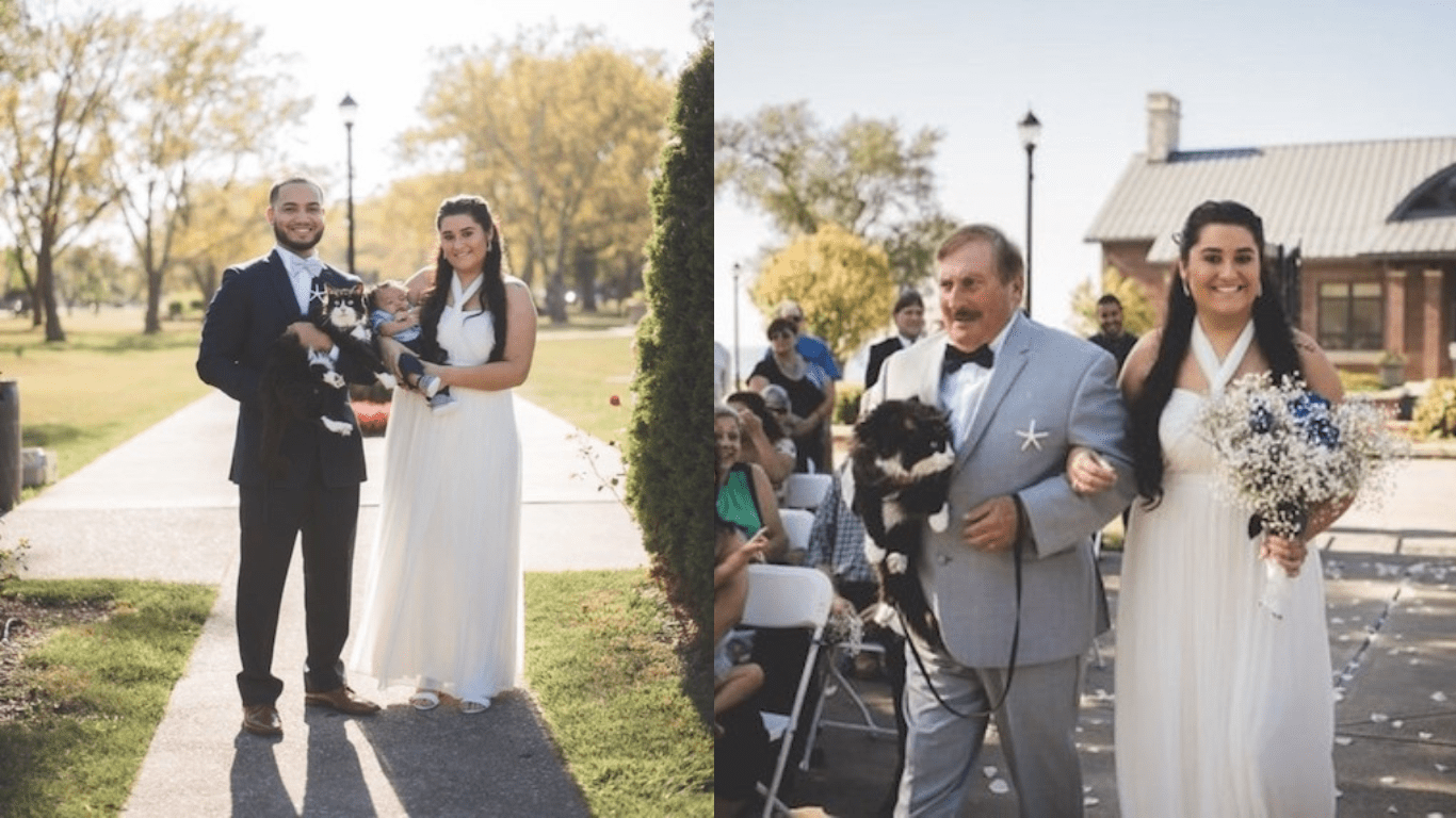 Kitten Walks Bride Down The Aisle On Her Wedding Day