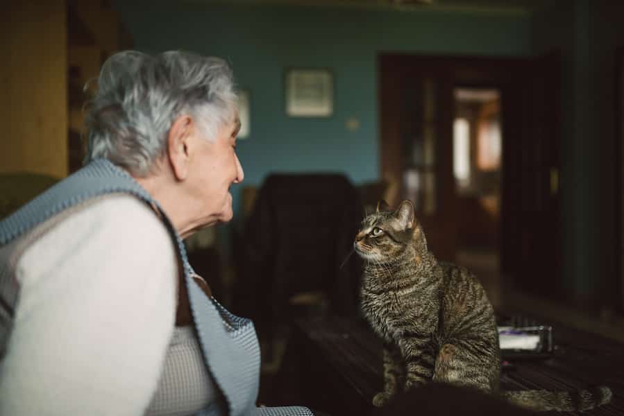 101-year-old woman adopts the oldest cat at a shelter.