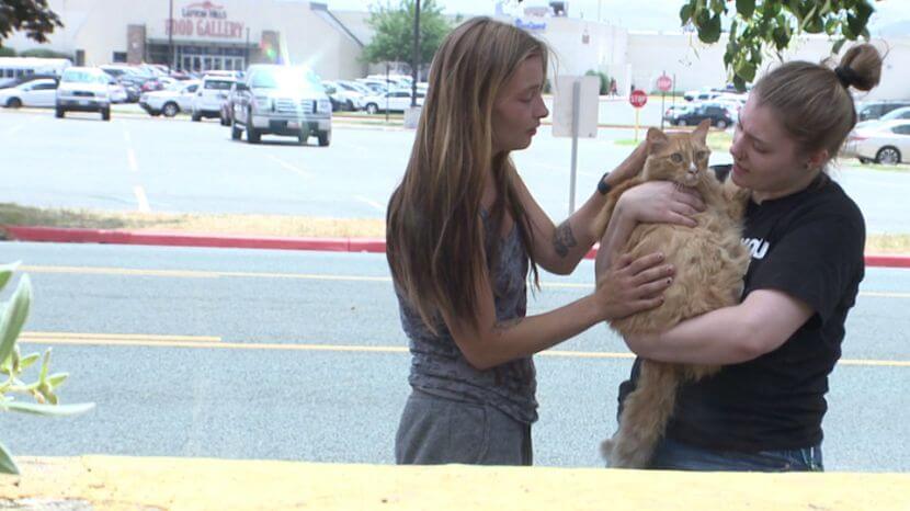 Reuniting with their cat days after their apartment burned, two sisters shed tears of joy