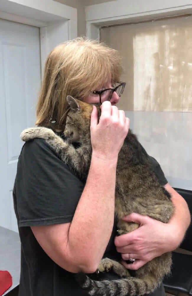 A long-lost cat finds his owner in New York after 11 years