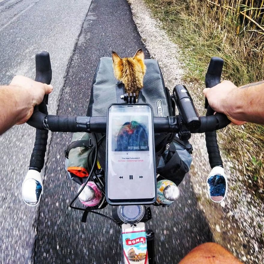 Scottish Man Decides To Cycle Across The Globe Solo But Finds A Stray Cat Which Accompanies Him