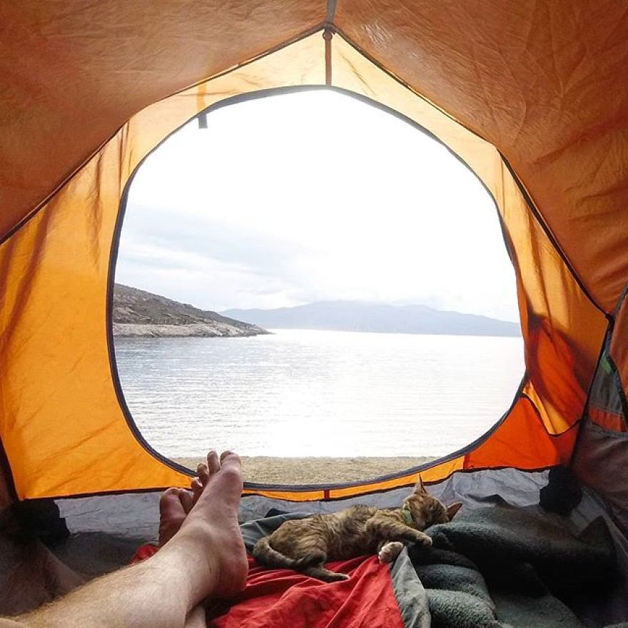 Scottish Man Decides To Cycle Across The Globe Solo But Finds A Stray Cat Which Accompanies Him