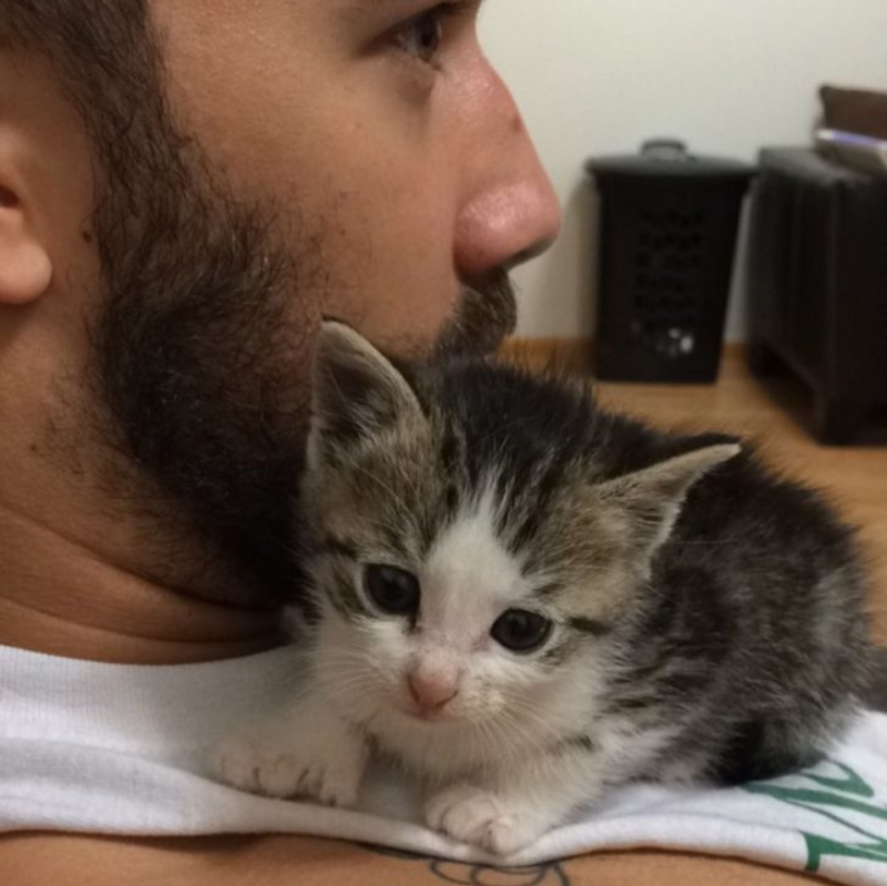 Cat Steals Husband And Makes Sure Wife Knows Her Place As Third Wheel