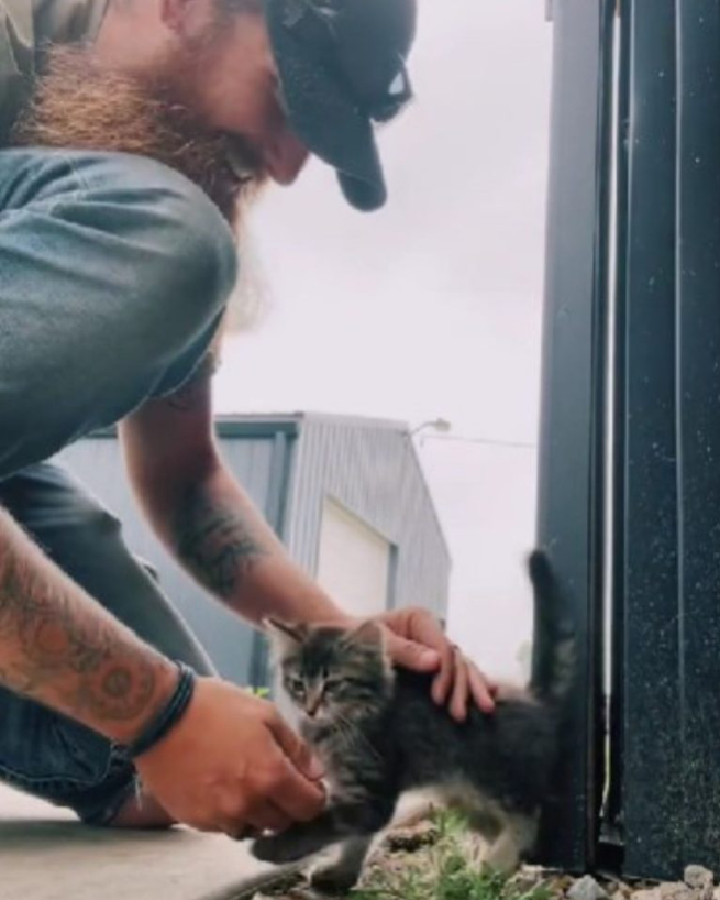 Tiny Abandoned Kitten Finds A Comfy Sleeping Nest In The Beard Of Her Rescuer