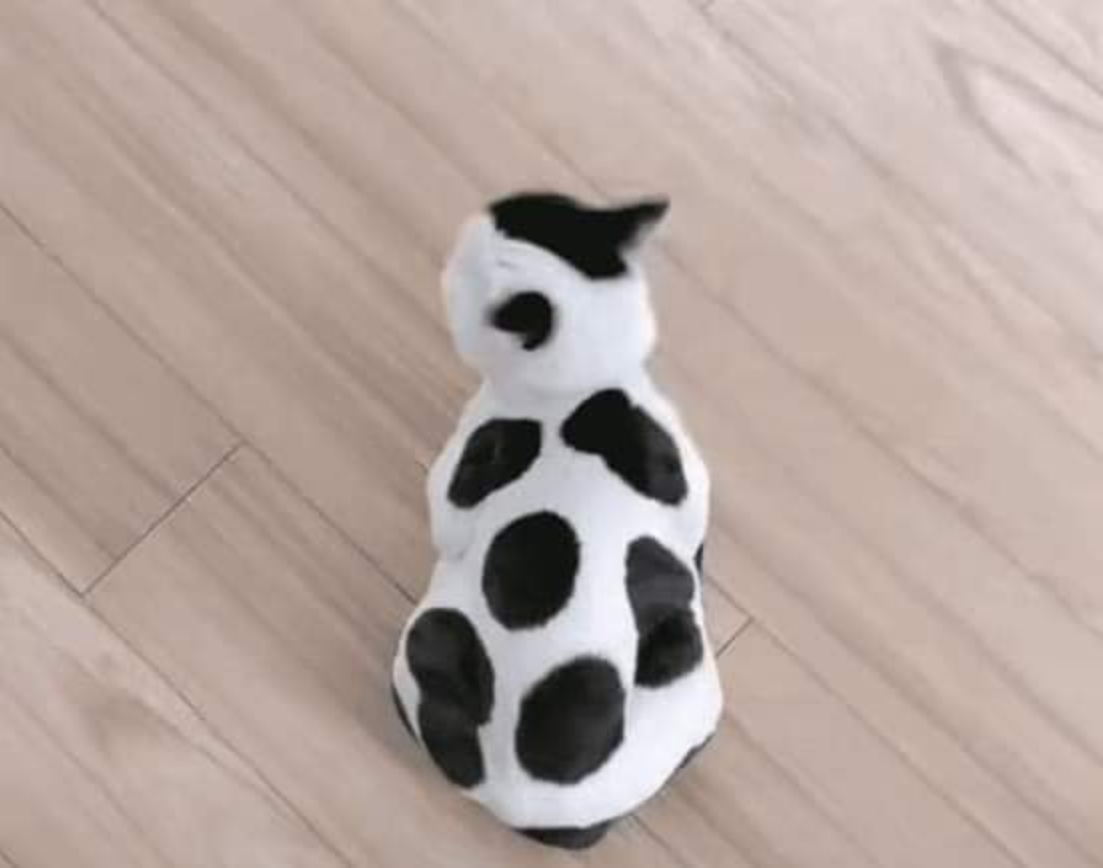 Meet Bon, a Unique-Coated Cat Taking the Internet by Storm with His Ball-Like Appearance