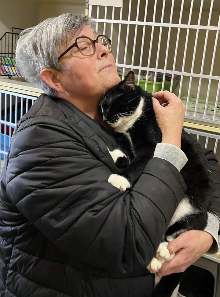 tuxedo cat snuggling