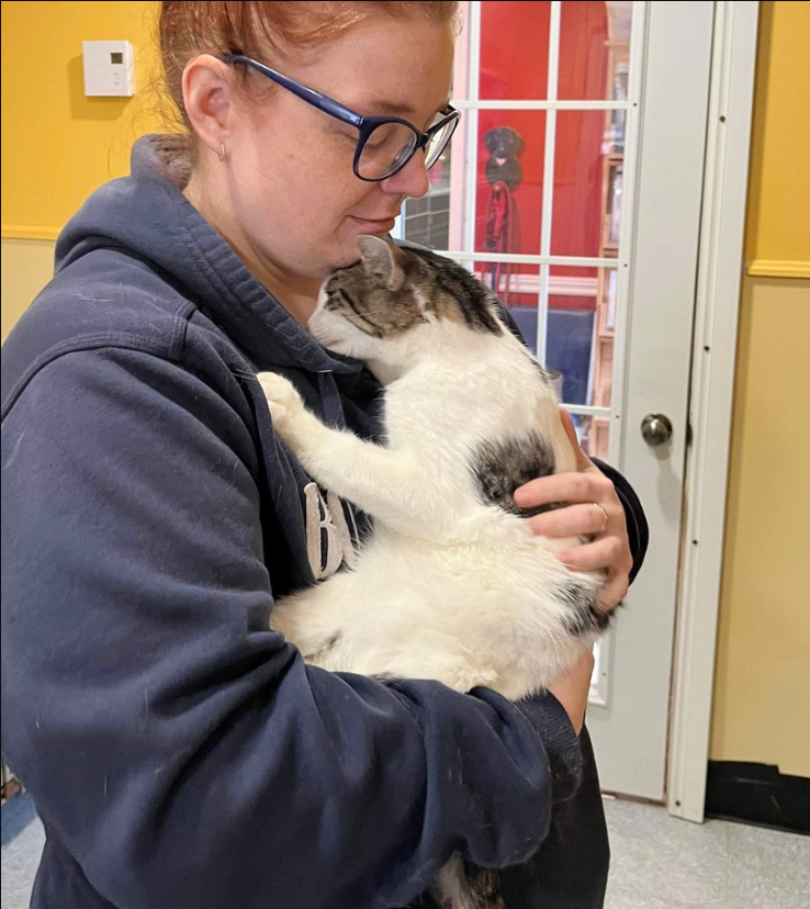 A Couple Went to the Shelter for One Cat