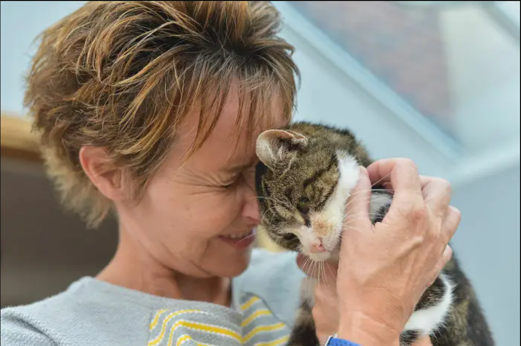 Miraculous Reunion: After 13 Years Apart, Aging Cat Finds Her Family, Igniting Emotions and Tears of Joy.