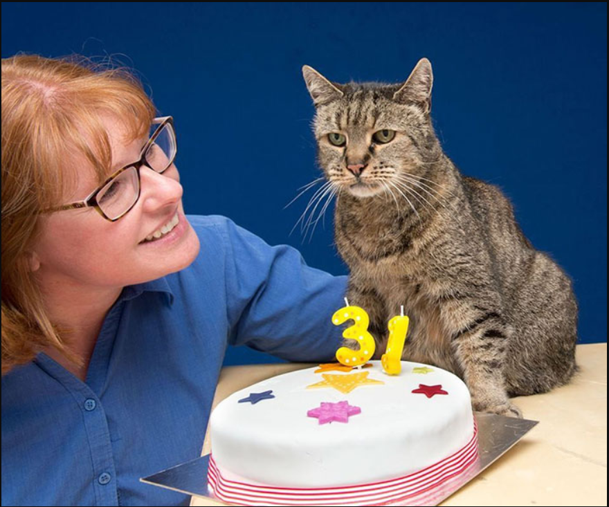 The Feline Time Traveler: Meet the 31-Year-Old Cat Defying Age