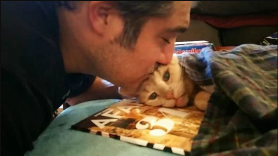 Abandoned Senior Cat Finds Loving Home – And His Life Is Just Beginning!