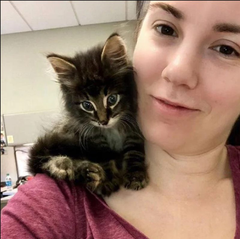 Kitten Wanders Out of Ditch and Into the Heart of a Woman