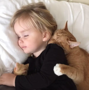 A woman gives a kitten a home and 13 years later, he guards her daughter and helps her learn to read, becoming a beloved family member.