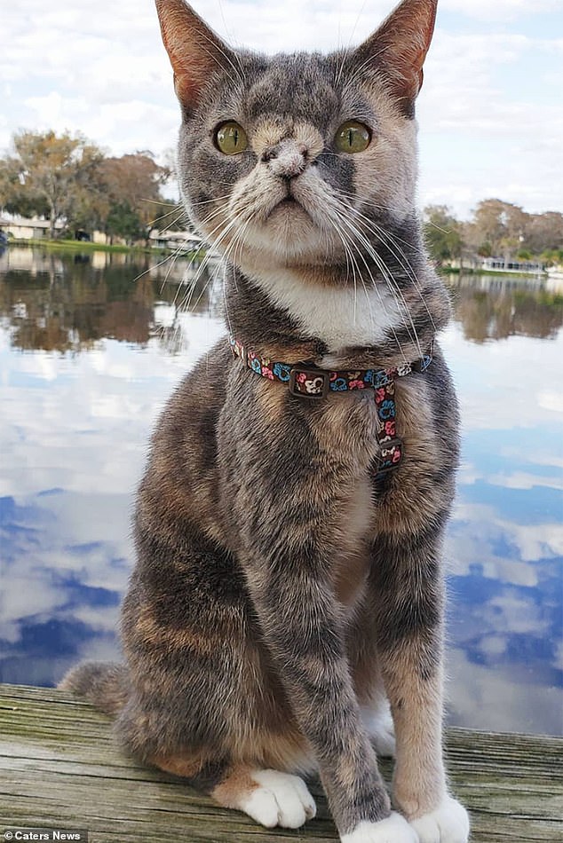 When special needs teacher Lori found the animal at five weeks old she suffered eye infections, fleas and intestinal parasites