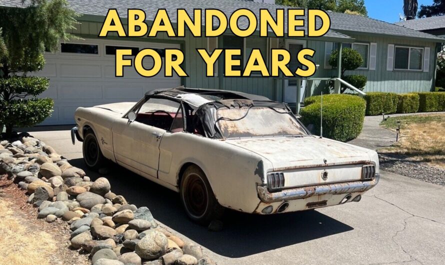 The Resurrection of a 1965 Ford Mustang Convertible After Years in Hiding- Rising from the Shadows