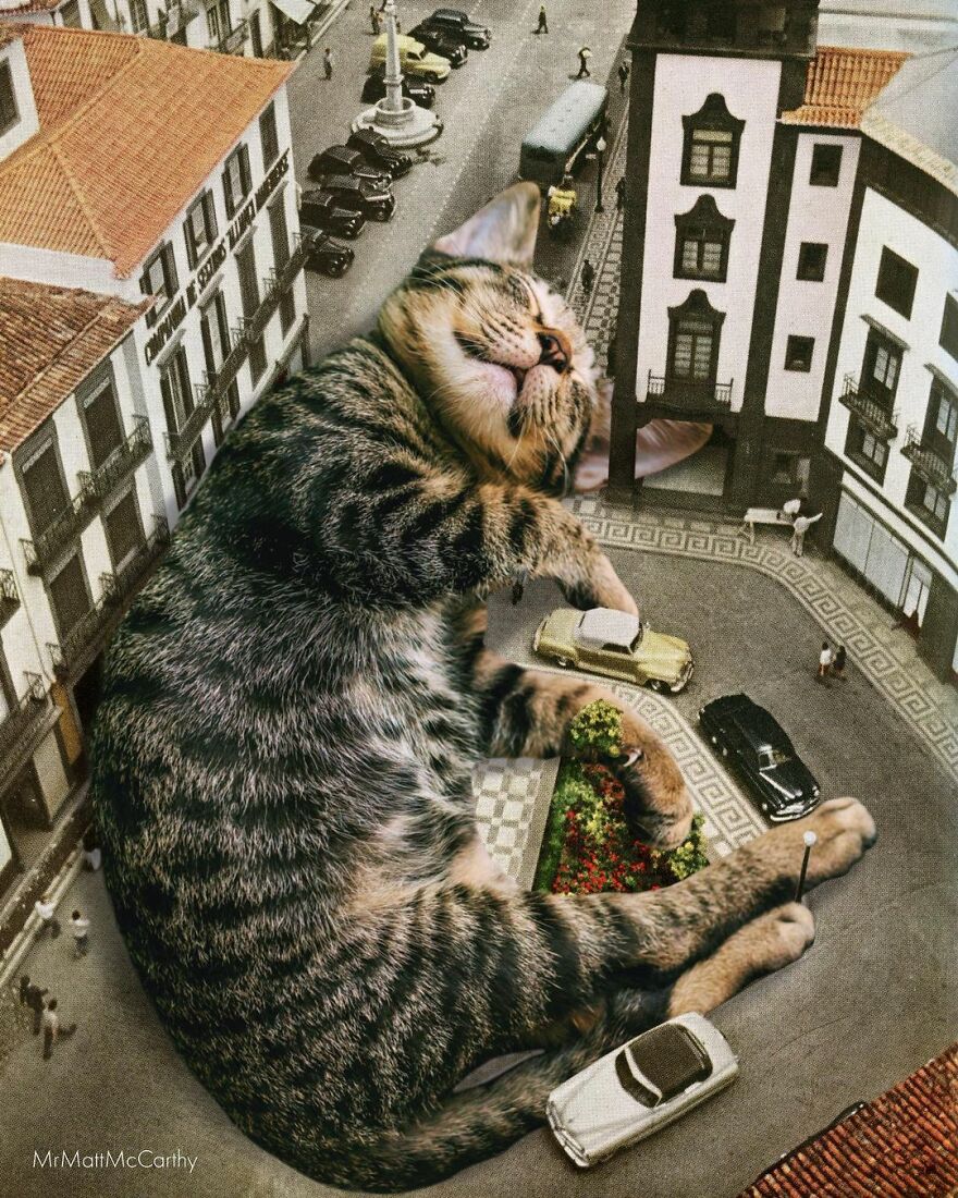 Artist Shows What It Would Be Like If The World Were Inhabited By Giant Cats (92 New Pics)