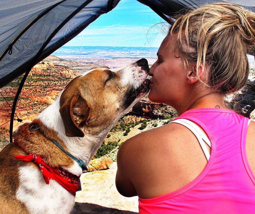 This Cat And Dog Love Travelling Together, And Their Pictures Are Absolutely Epic