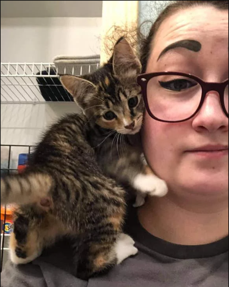 A woman finds a kitten that is feral, climbs on her shoulder, and decides she is family.