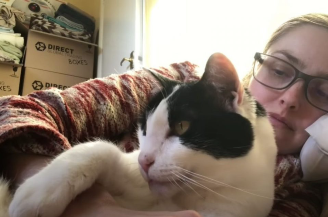 Feline Is So Loving With The Family That Adopted Him