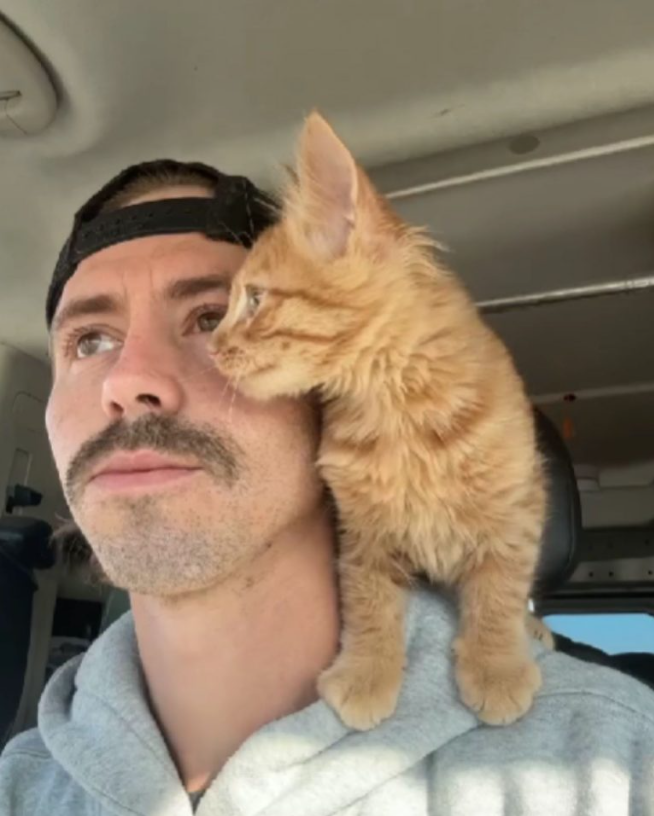 Man Rescues A Ginger Kitten And Gains A Loyal Buddy For A Lifetime Of Adventures