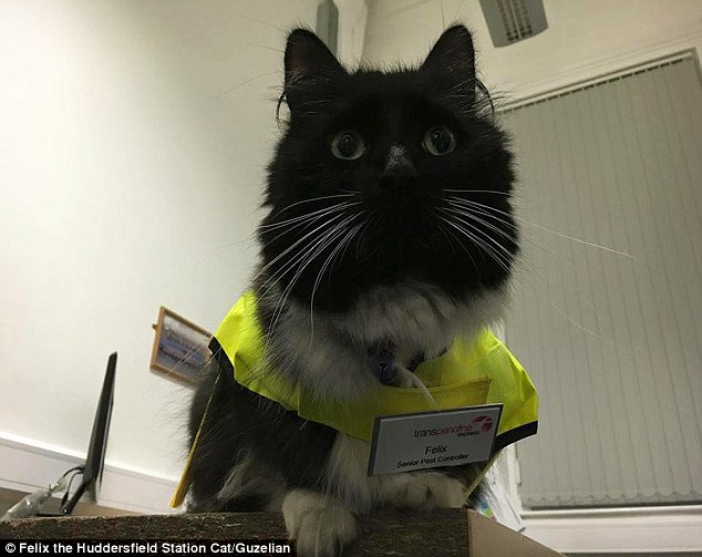 Felix has been working at Huddersfield Railway Station since 2011