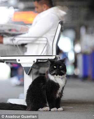 Whether inside or outside the Huddersfield staff member is always on duty and helping to keep the station mouse-free