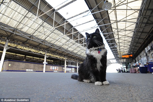 Chris Bamford, a Customer Services Assistant at the station, said: 'The promotion is just a nice appreciation of Felix's work. It is a reward for nearly five years of service. Her presence just brings a smile' 