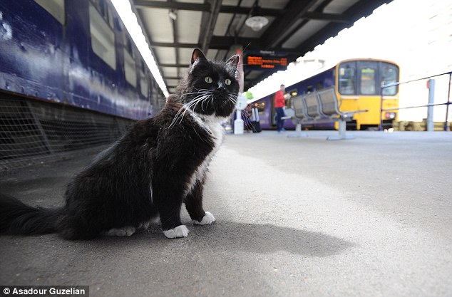 Ever since she was a kitten, she has been a valuable and popular member of the station team, keeping it vermin-free