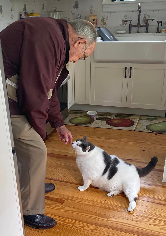 The Journey Of Patches, A 40-Pound Cat, Begins Anew After He Gets Adopted And Is Put On A Special Diet