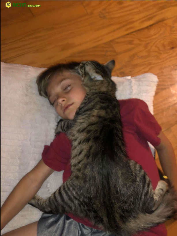 Cat Always Sleeps While Hugging His Favorite Human