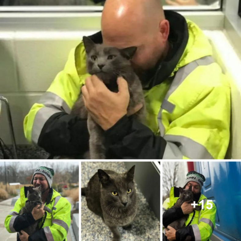 Truck Driver’s Heartwarming Reunion with Beloved Cat in New York After Five-Month Separation