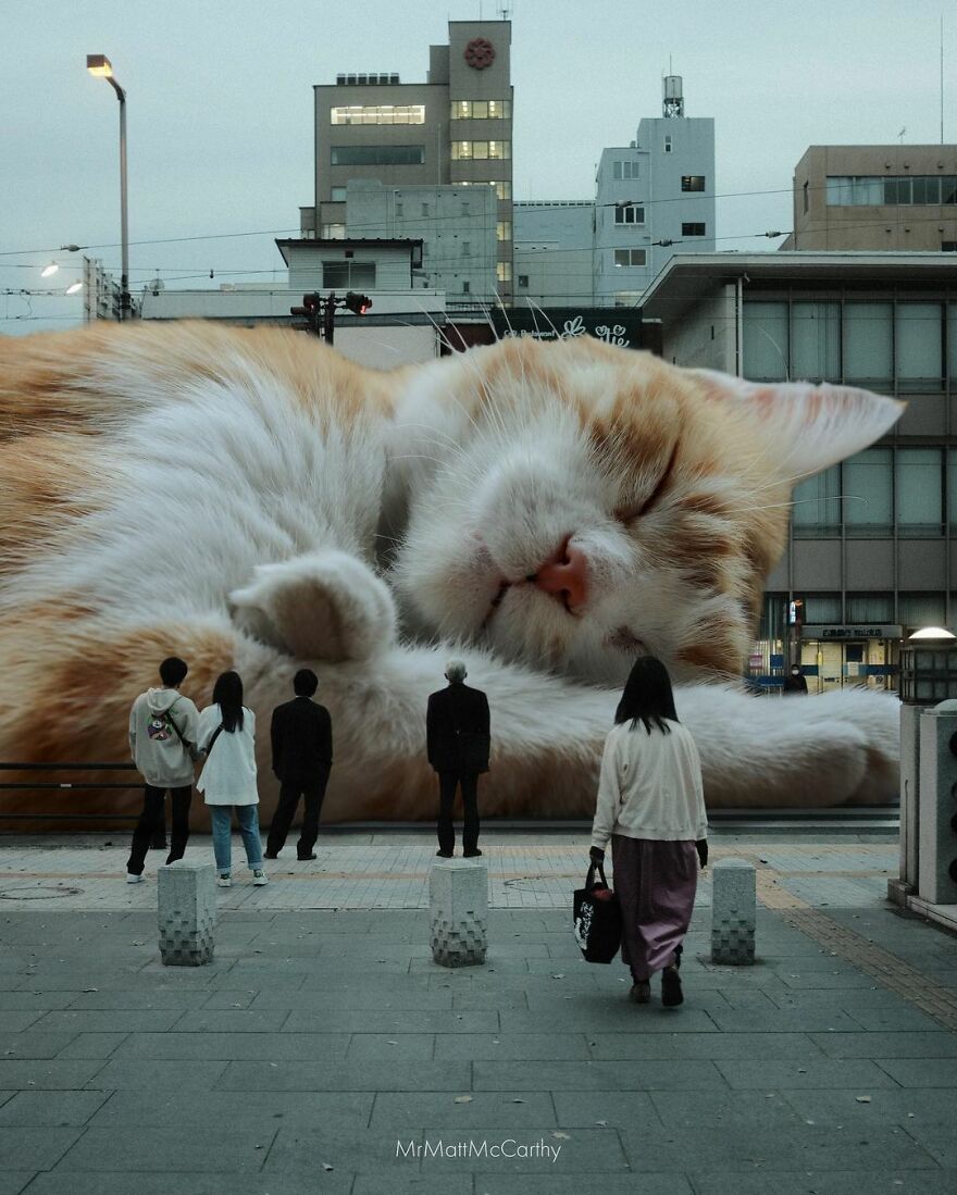 Artist Shows What It Would Be Like If The World Were Inhabited By Giant Cats (92 New Pics)