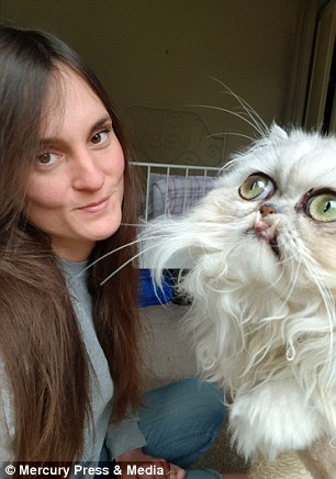 Wilfred's striking features including a shock of white fur, eyes like saucers and protruding pearlies has led some people to even believe he's not real and has been photoshopped by owner Jenna Millward