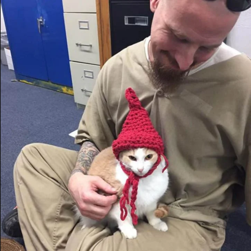 Cuddle Therapy Behind Bars: Shelter Cats Transform Lives of Indiana Inmates