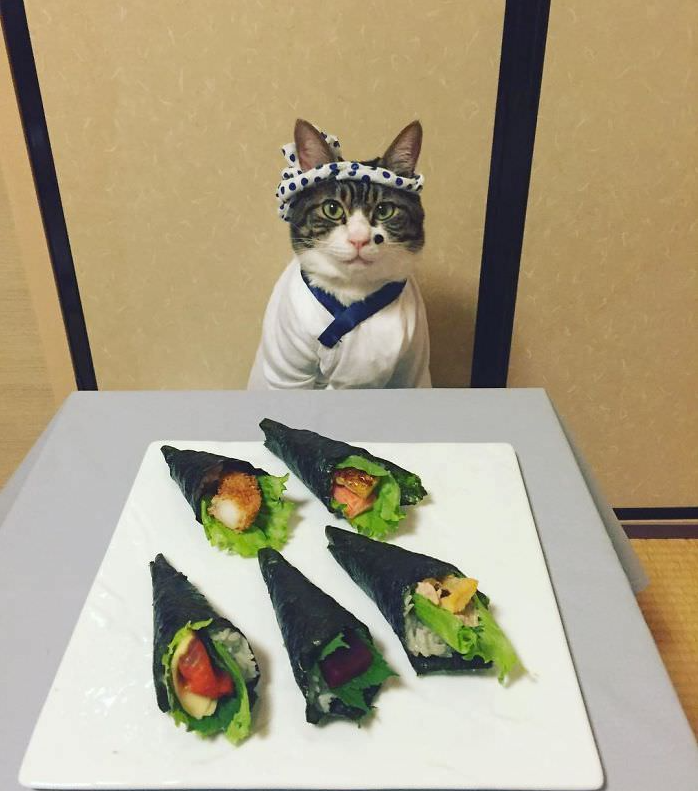 Cosplaying Cat Chef Dines With His Mom Every Night In Different Outfit