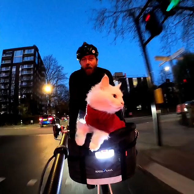 Mr Nelson, who lives in north London's Belsize Park with his wife, takes trips with deaf cat Sigrid across London